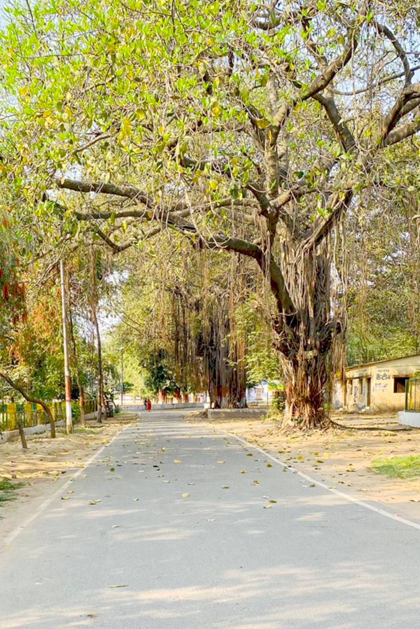 Patna College-3-ejsa1.jpg